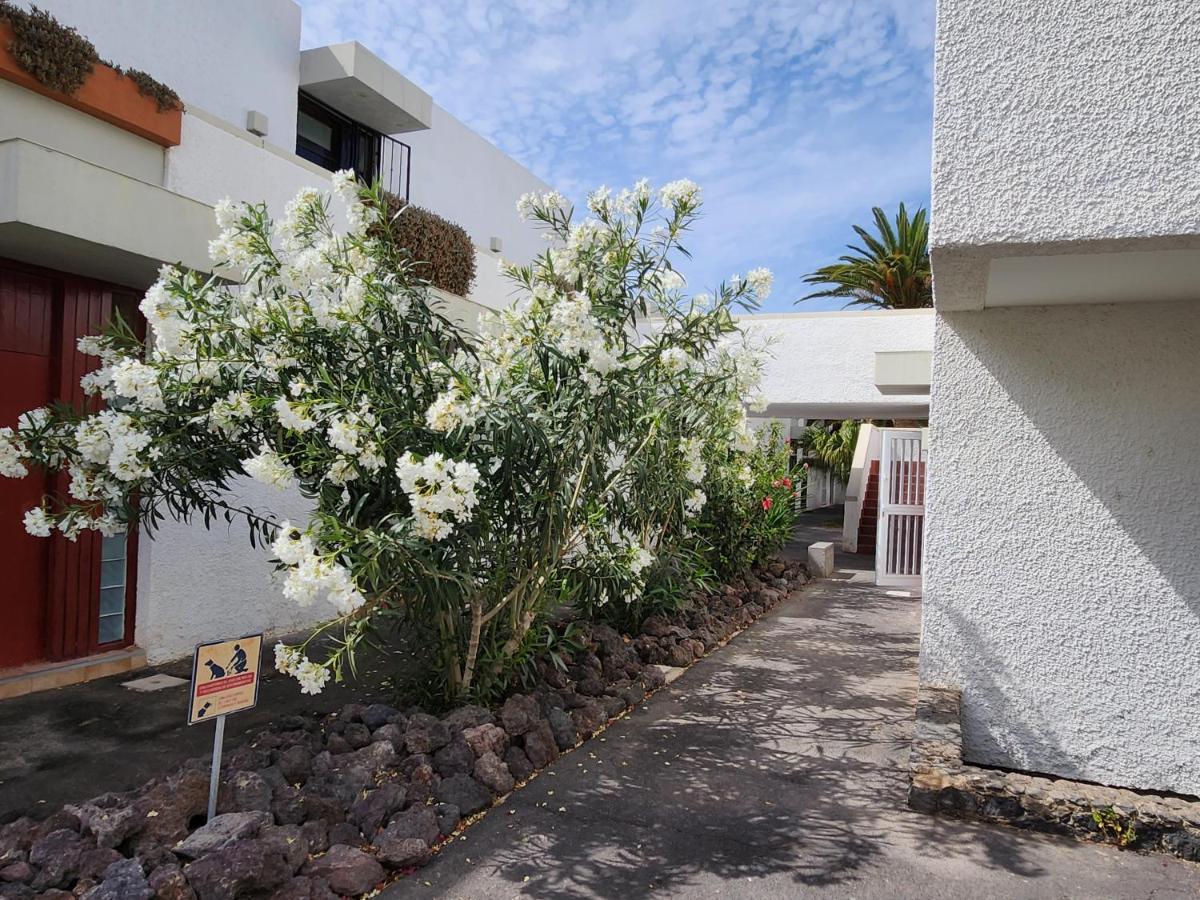 Casa De Mariposas Apartment Costa Del Silencio Exterior foto